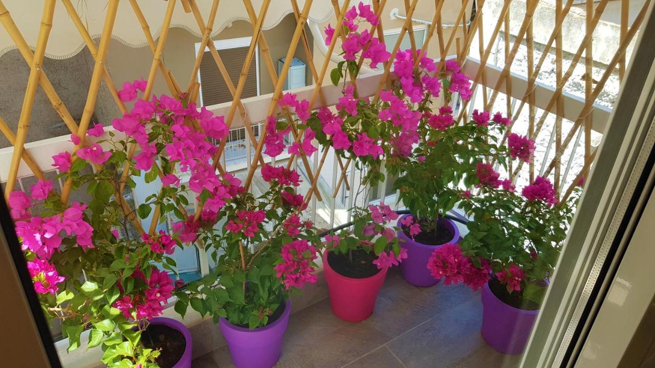 Wow Penthouse Boutique In The Heart Of Historical Center Leilighet Athen Eksteriør bilde